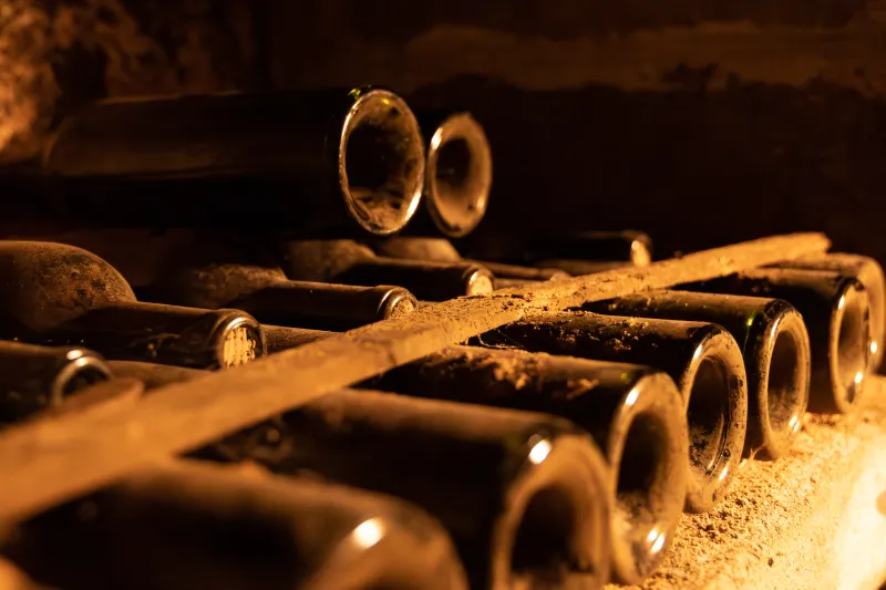Permanence and Perishability: What Cinema Understands About Immortality That Wine Never Can
