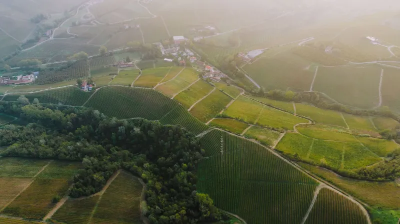 Soil and Story: How Visionary Directors Transform Wine Regions into Living Characters